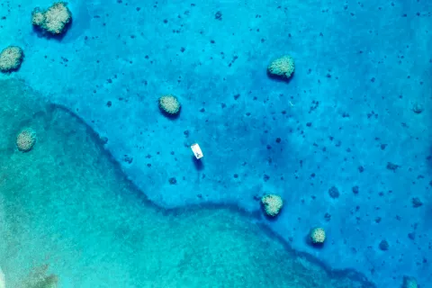 Recifs de l'Astrolabe — Coral Sea Natural Park, New Caledonia