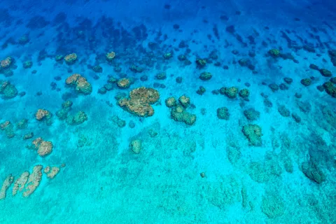 Recifs de l'Astrolabe — Coral Sea Natural Park, New Caledonia