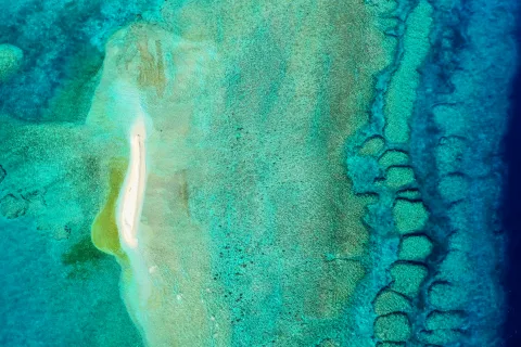 Recifs de l'Astrolabe — Coral Sea Natural Park, New Caledonia