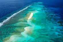 Recifs de l'Astrolabe — Coral Sea Natural Park, New Caledonia