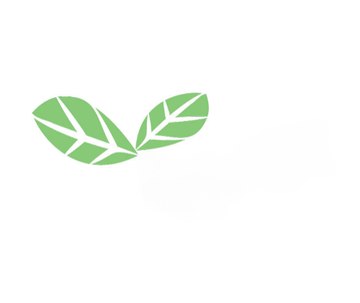The green leaves